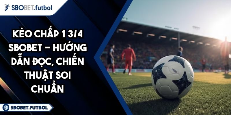 Kèo chấp 1 3/4 SBOBET - Hướng dẫn đọc, chiến thuật soi chuẩn 1 Kèo chấp 1 3/4 SBOBET